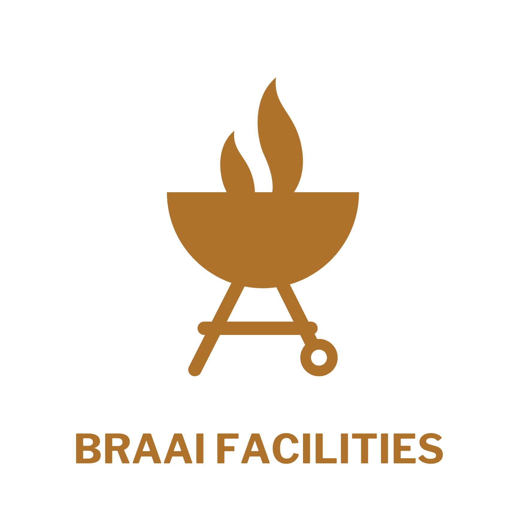 BRAAI