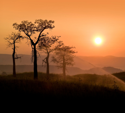 Signature Golf Course Hole-1