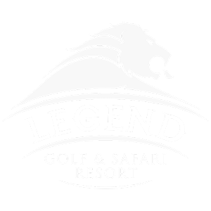 LGSR-TRANSP_LOGO_WHITE-scaled-300x300